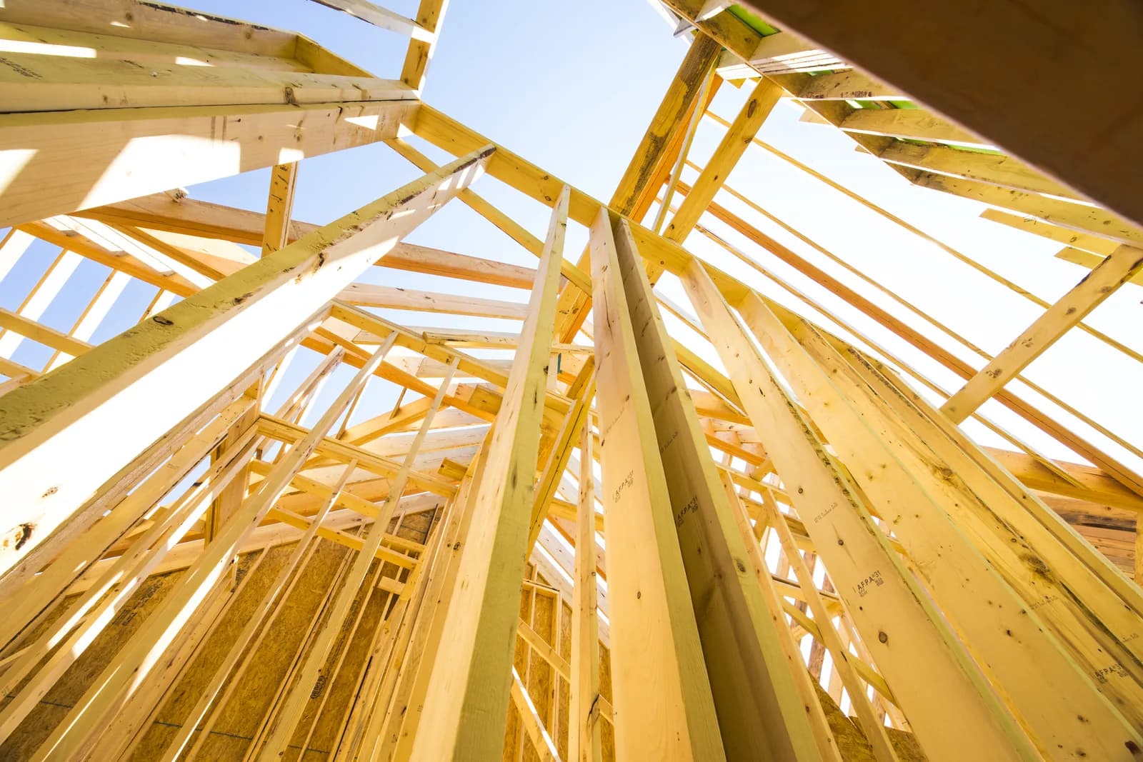 Roof trusses overhead during framing