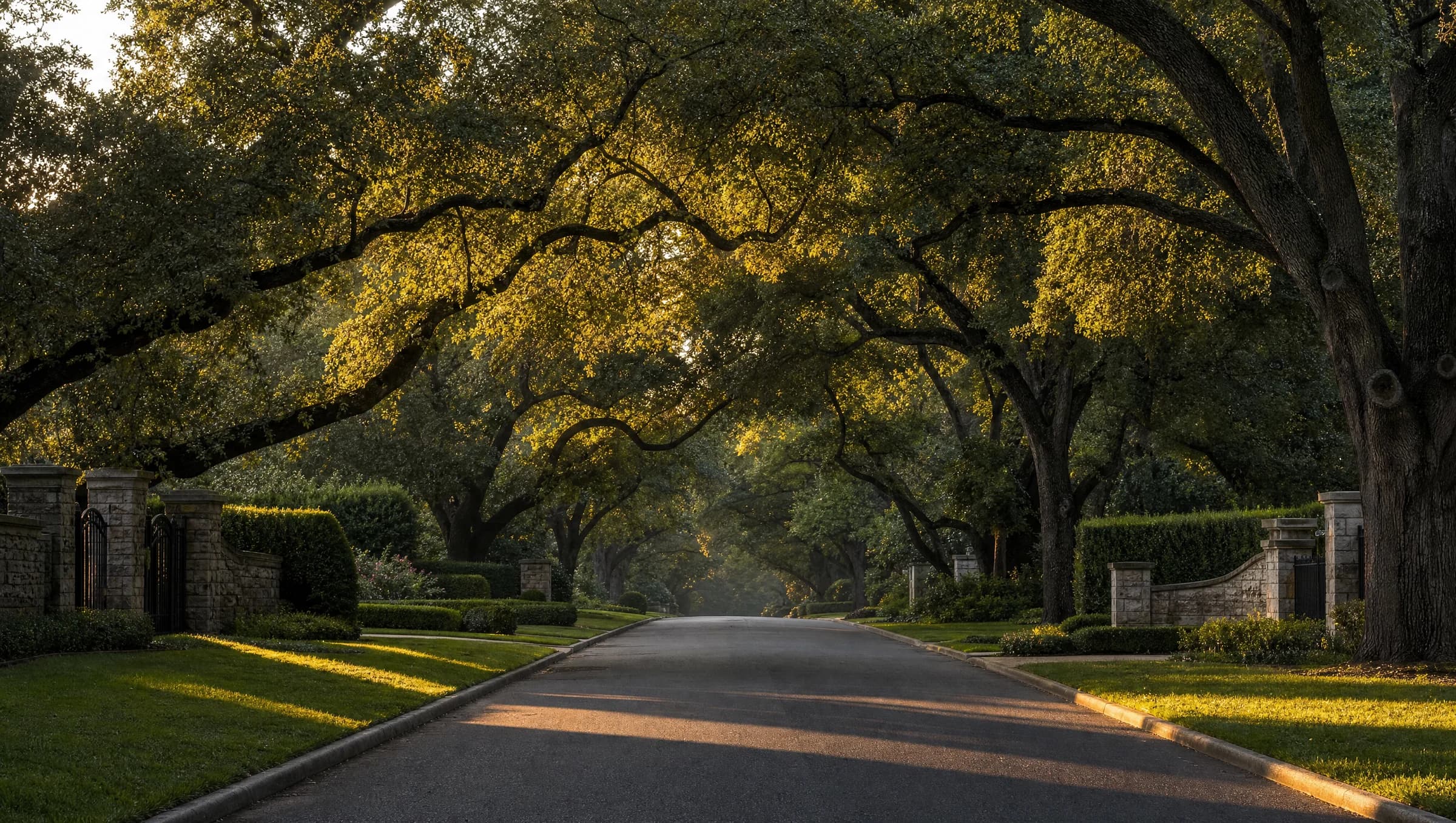 A quiet, tree-lined residential street