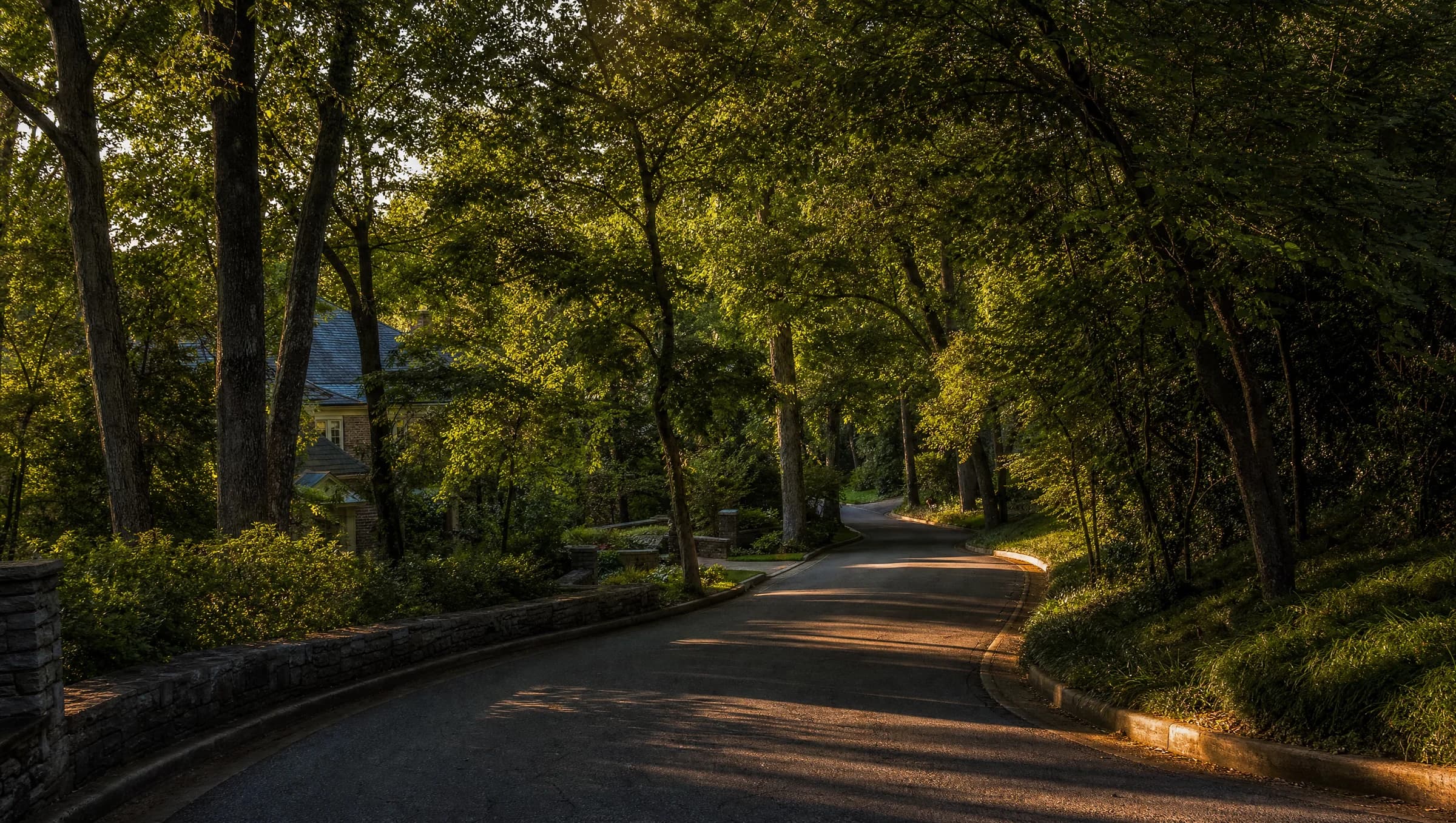 A quiet, tree-lined residential street