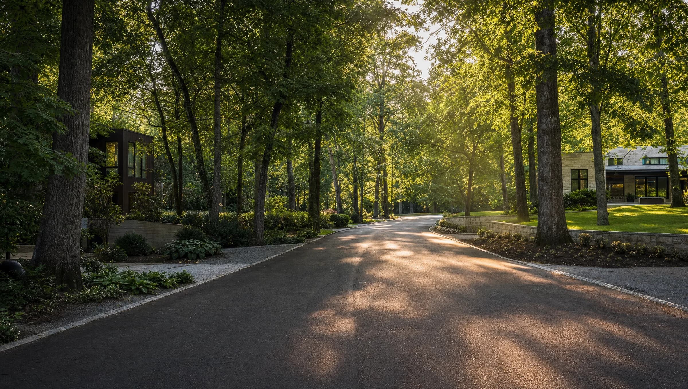 A quiet, tree-lined residential street