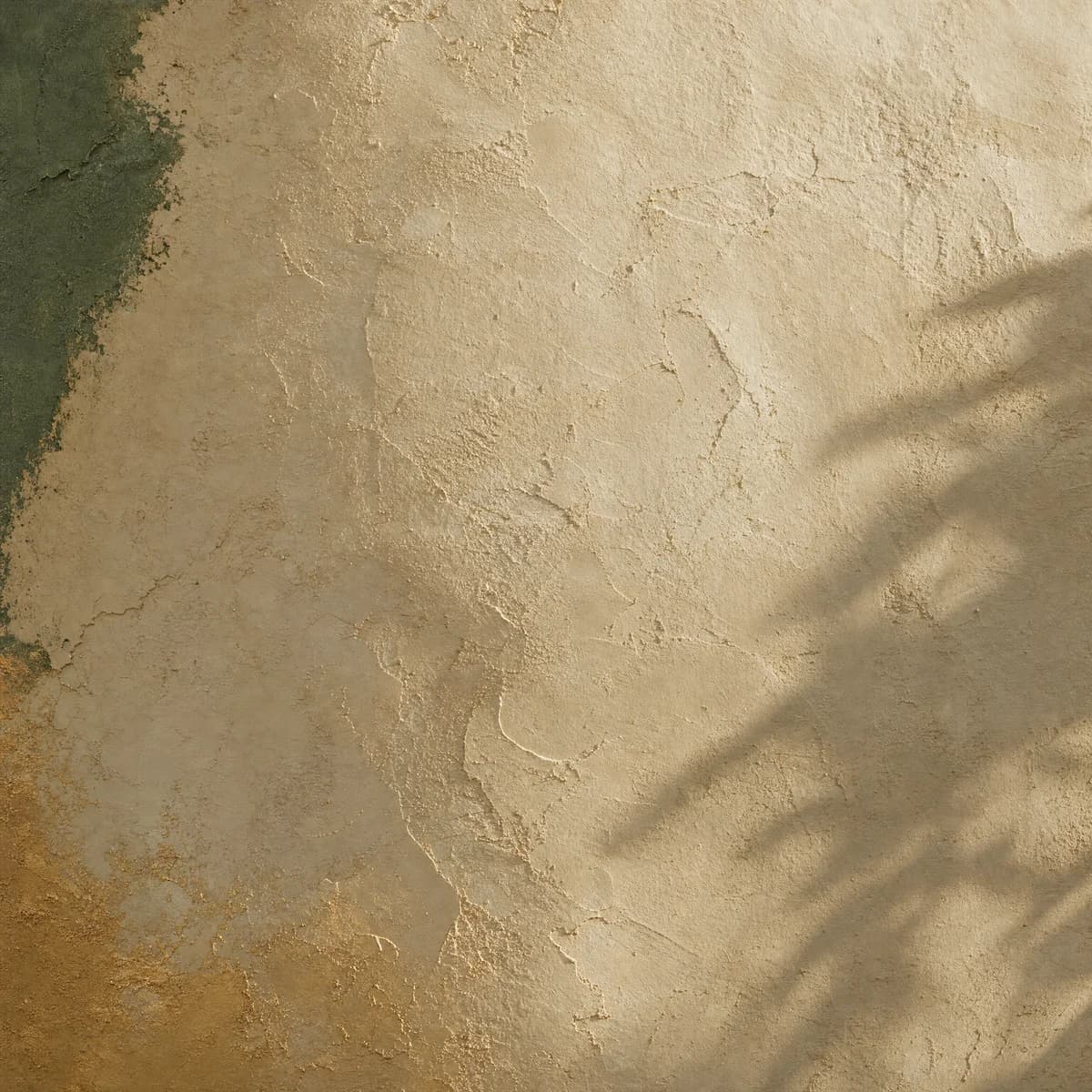 Textured lime plaster wall finish sample