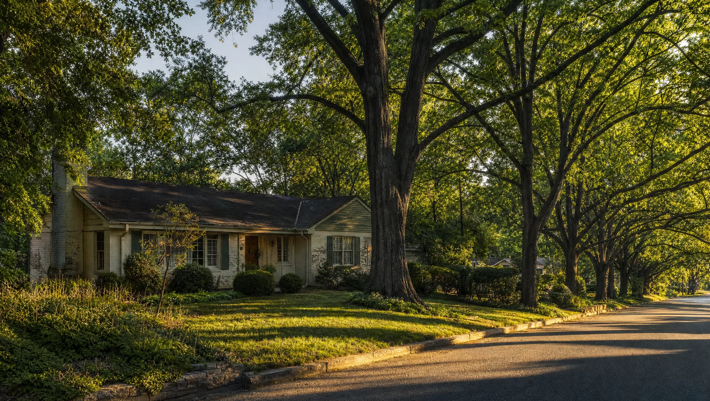 A dated single-story brick ranch house with dark shutters under tall mature trees on a quiet established residential street
